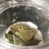 Зачем я кладу 1 лавровый лист в сахар, муку и во все горшки с цветами